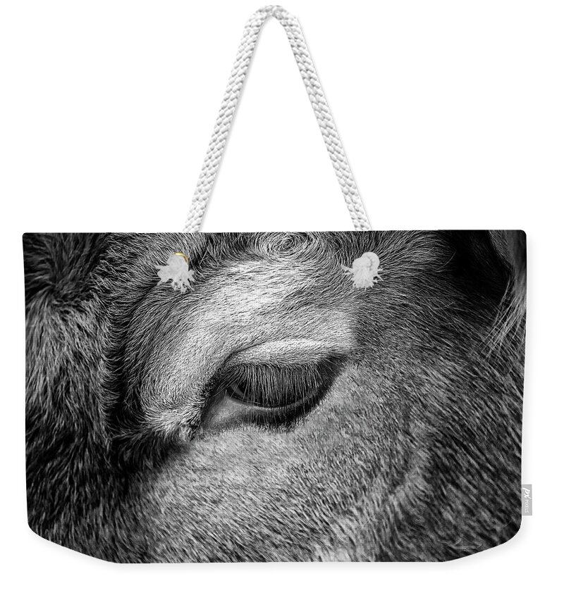 Bull Weekender Tote Bag featuring the photograph Bulls Eye by Nick Bywater