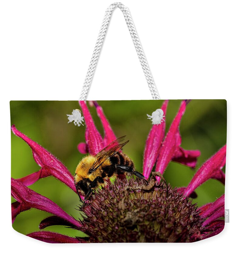 Ray Kent Weekender Tote Bag featuring the photograph Bumble Bee by Ray Kent