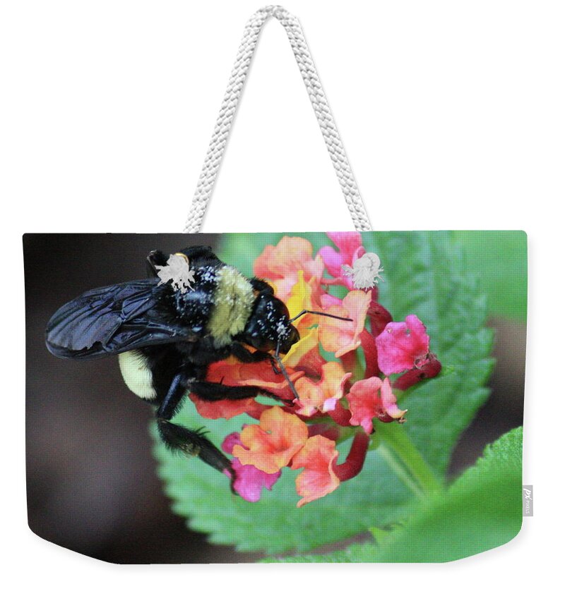 Bee Weekender Tote Bag featuring the photograph Bumble Bee Square by Carol Groenen