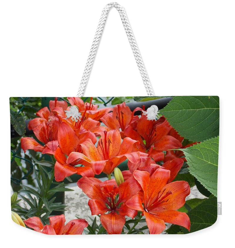 Lilies Weekender Tote Bag featuring the photograph Bunch of Lilies by Catherine Gagne