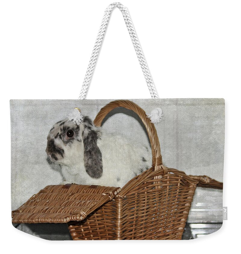 Bunny Weekender Tote Bag featuring the photograph Bunny in a Basket by Terri Waters