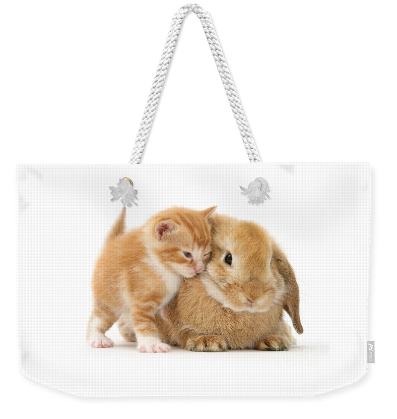 Sandy Lop Weekender Tote Bag featuring the photograph Bunny Love by Warren Photographic