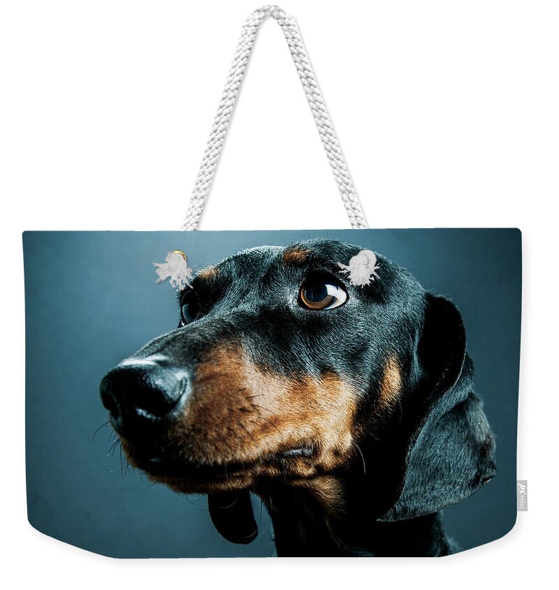 Steven Green Weekender Tote Bag featuring the photograph Bunny by SR Green
