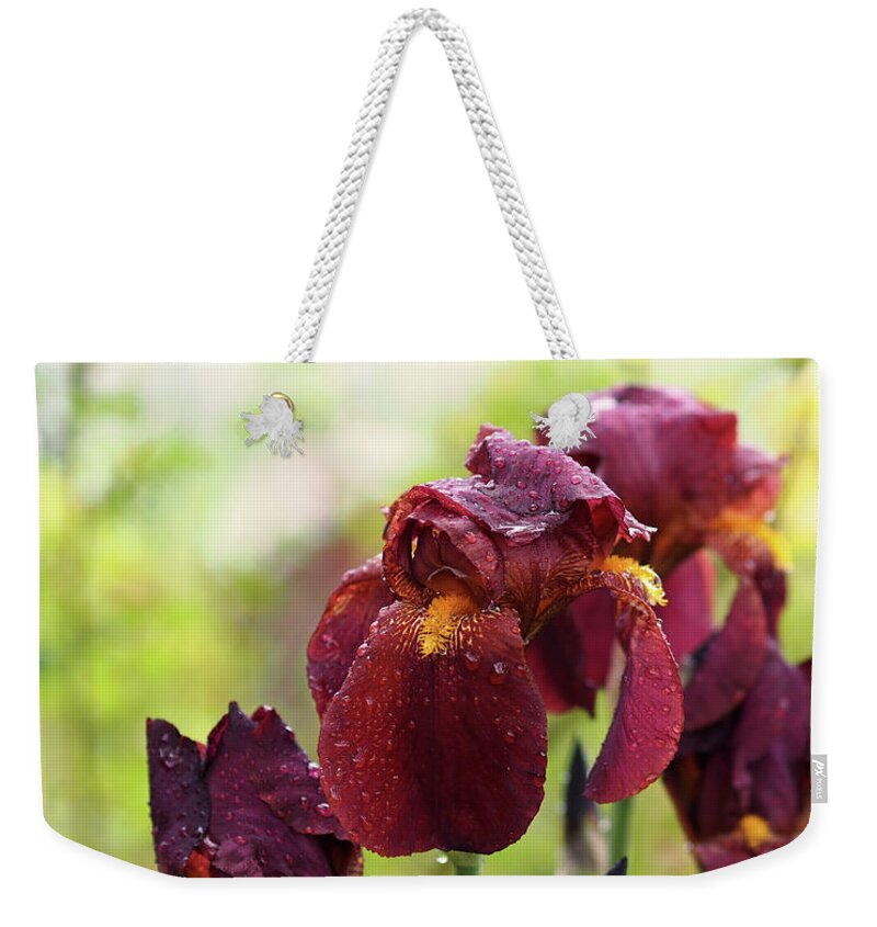 Iris Weekender Tote Bag featuring the photograph Burgundy Bearded Irises in the Rain by Rona Black