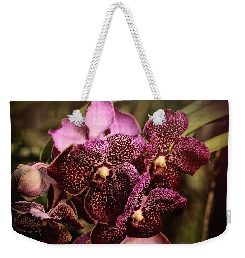 Orchids Weekender Tote Bag featuring the photograph Burgundy Treasures by Judy Vincent