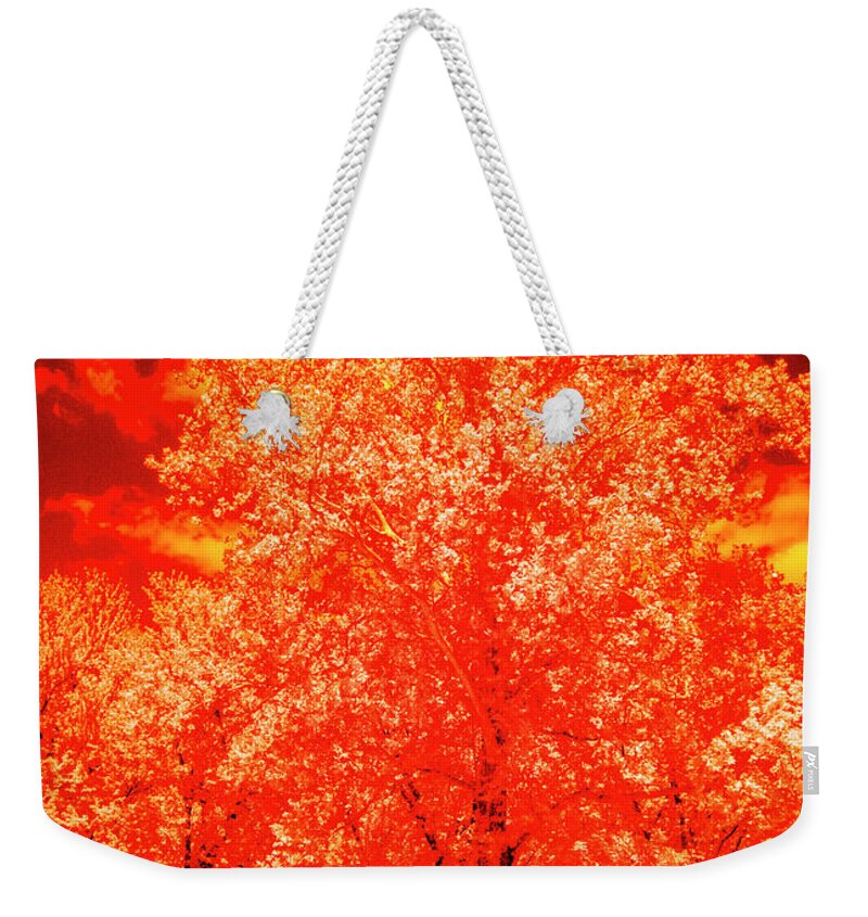 Tree Weekender Tote Bag featuring the photograph Burning Bush by Paul W Faust - Impressions of Light