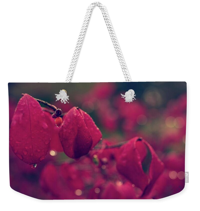 Flower Weekender Tote Bag featuring the photograph Burning Red by Gene Garnace