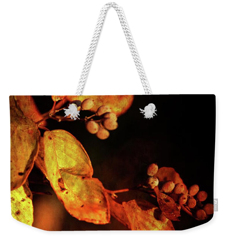 Burnt Weekender Tote Bag featuring the photograph Burnt Autumn Berries 6043 H_3 by Steven Ward