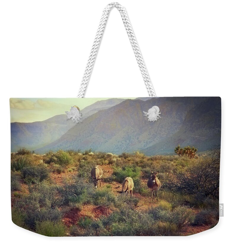 Burros Weekender Tote Bag featuring the photograph Burros at Bonnie Springs Ranch, Las Vegas by Tatiana Travelways