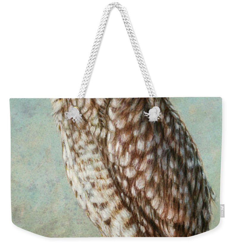 Owl Weekender Tote Bag featuring the painting Burrowing Owl by James W Johnson