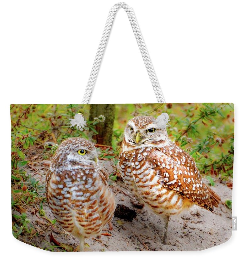 Owls Weekender Tote Bag featuring the photograph Burrowing Owls by Lisa Kilby