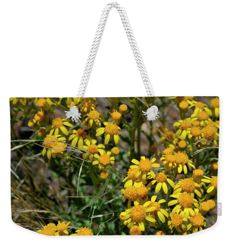 Landscape Weekender Tote Bag featuring the photograph Burst Of Yellow by Ron Cline