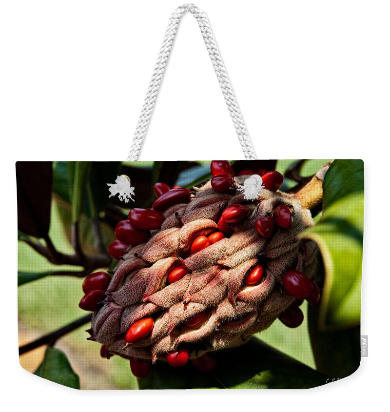 Seed Weekender Tote Bag featuring the photograph Bursting Forth by Christopher Holmes