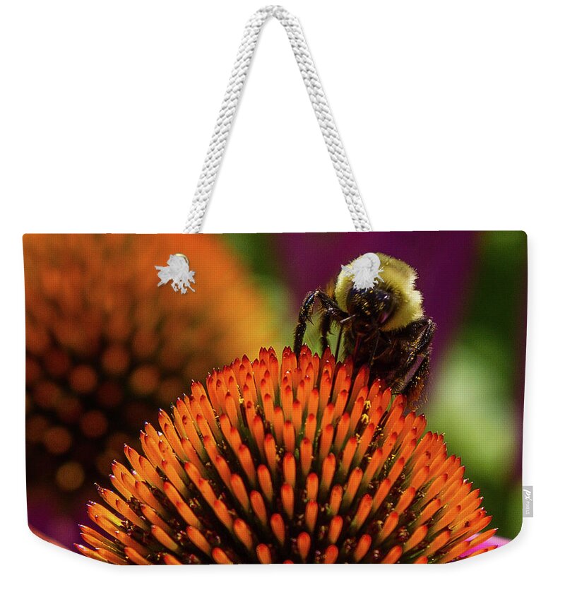 Bee Weekender Tote Bag featuring the photograph Busy as a ... Just busy by Darryl Hendricks