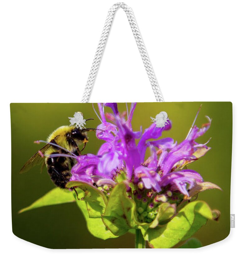 Bee Weekender Tote Bag featuring the photograph Busy as a Bee by Darryl Hendricks
