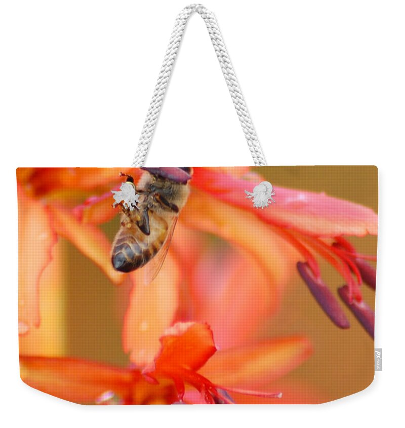 Bee Weekender Tote Bag featuring the photograph Busy Bee by Amy Fose