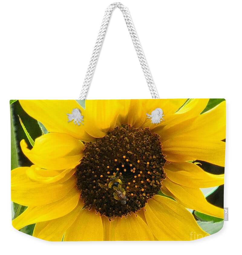 Bee Weekender Tote Bag featuring the photograph Busy Bee II by Sonya Chalmers