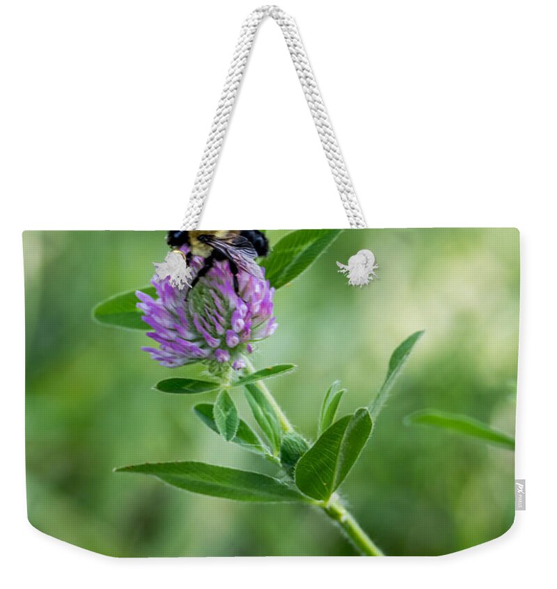 Bee Weekender Tote Bag featuring the photograph Busy Bee by Holden The Moment