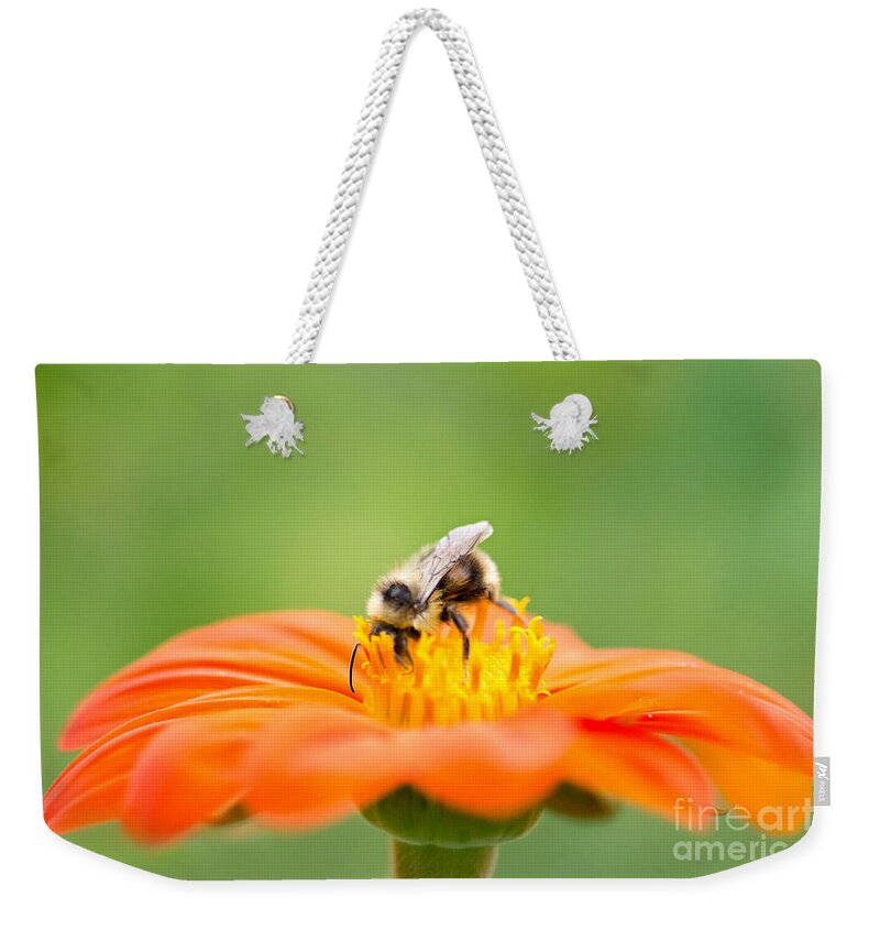 Bee Weekender Tote Bag featuring the photograph Busy Bee by Susan Garver