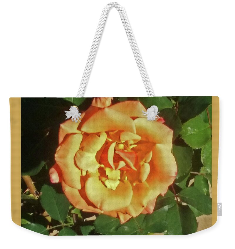 Flower Weekender Tote Bag featuring the photograph Buttercream Rose For Your Valentine by Jay Milo