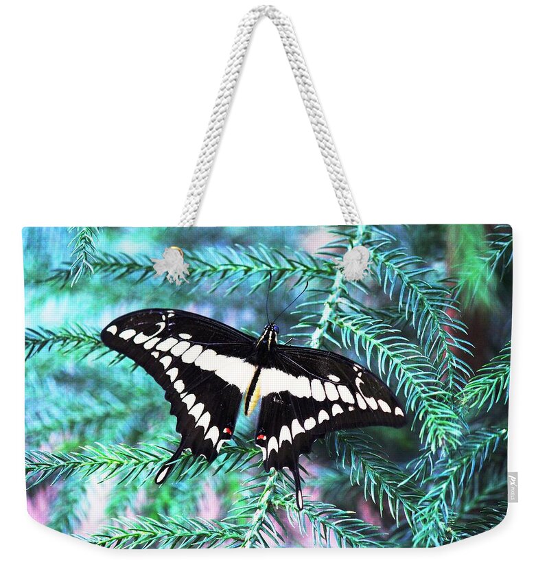 Butterfly Weekender Tote Bag featuring the photograph Butterfly 008 by Donn Ingemie