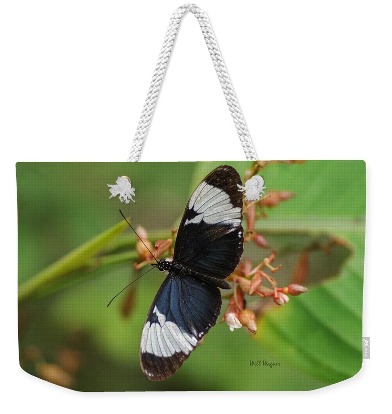 Butterfly Weekender Tote Bag featuring the photograph Butterfly 06 by Will Wagner
