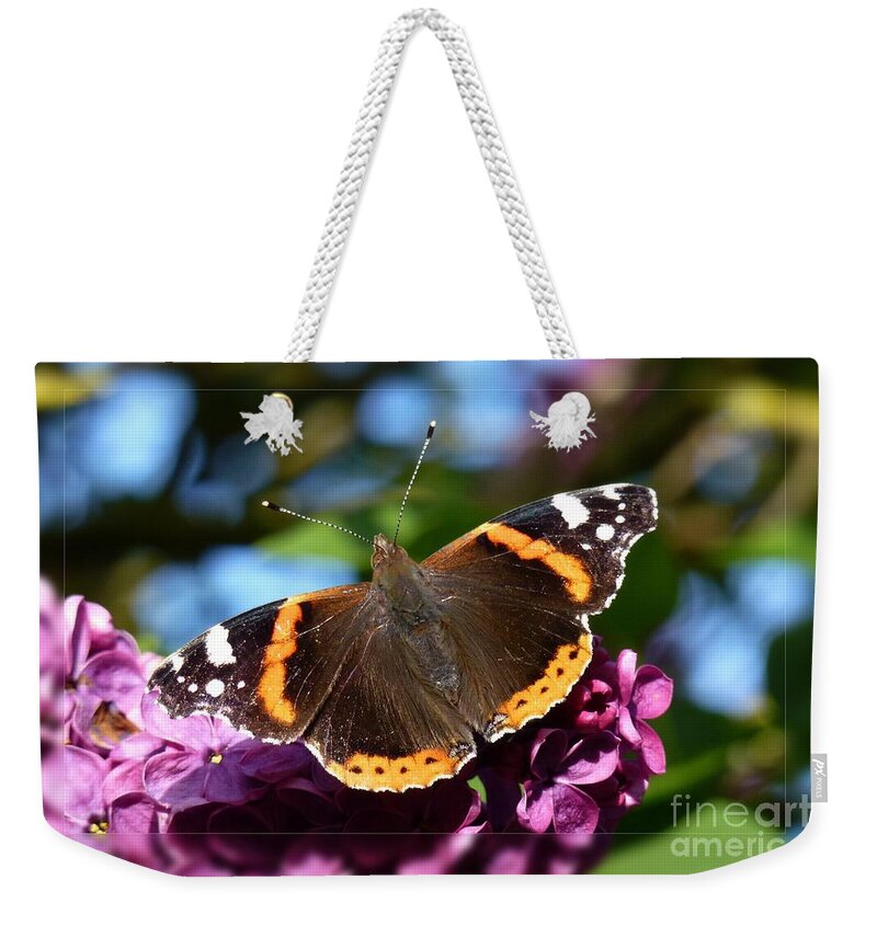 Beautiful Weekender Tote Bag featuring the photograph Butterfly 12 by Jean Bernard Roussilhe