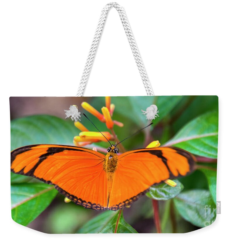 Butterfly Weekender Tote Bag featuring the photograph Butterfly #2017 by Chuck Flewelling