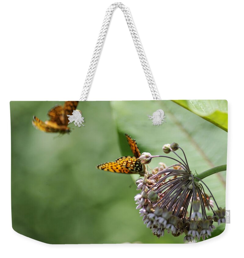 Butterfly Weekender Tote Bag featuring the photograph Butterfly #42 by Carien Schippers