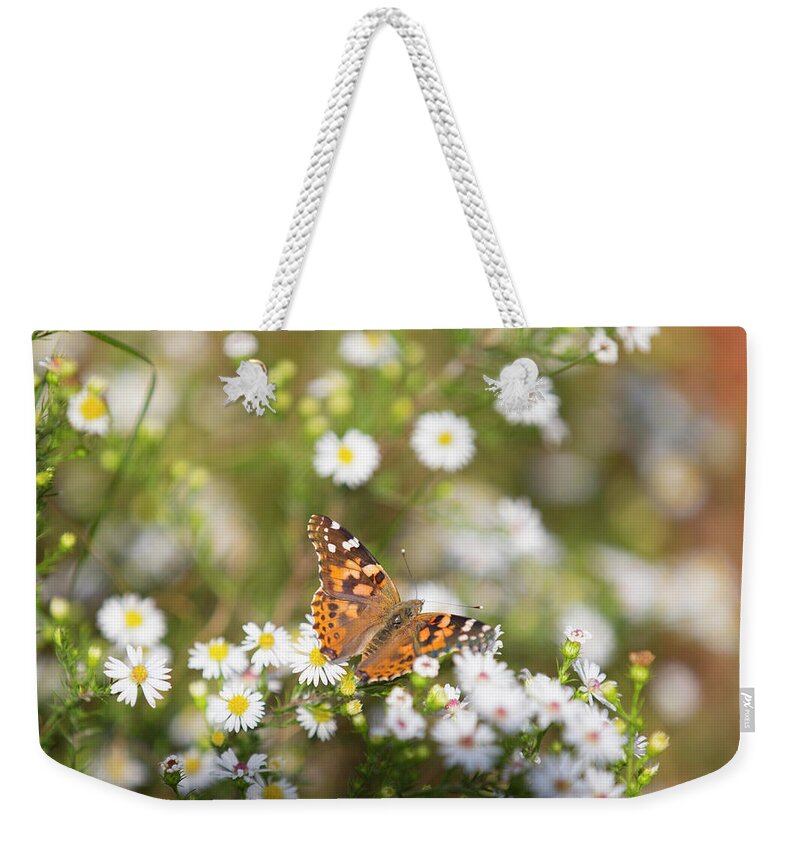 Butterfly Weekender Tote Bag featuring the photograph Butterfly #8 by David Stasiak