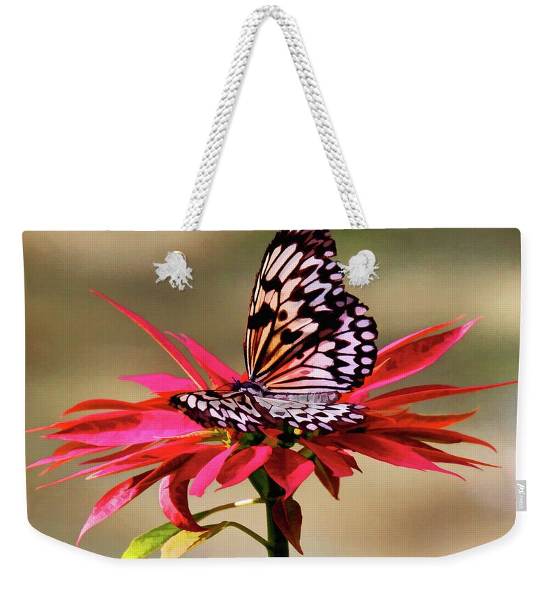 Butterfly Weekender Tote Bag featuring the photograph Butterfly Alight by Rochelle Berman