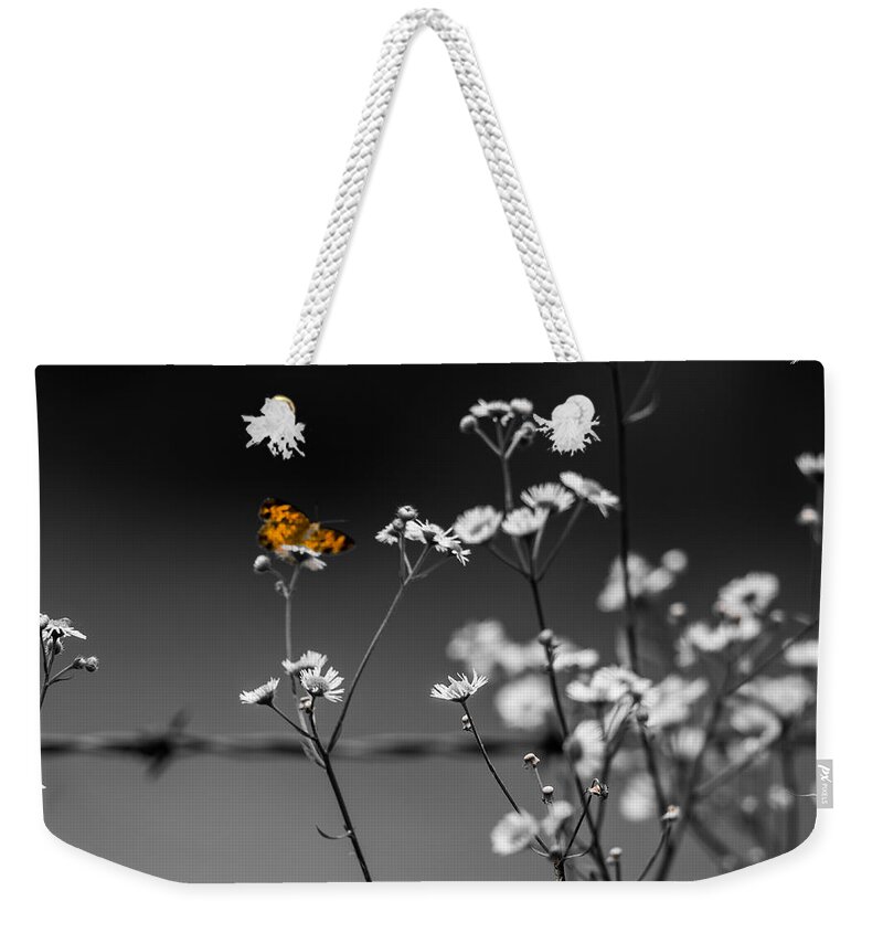 Butterfly Weekender Tote Bag featuring the photograph Butterfly and Barb Wire by Holden The Moment