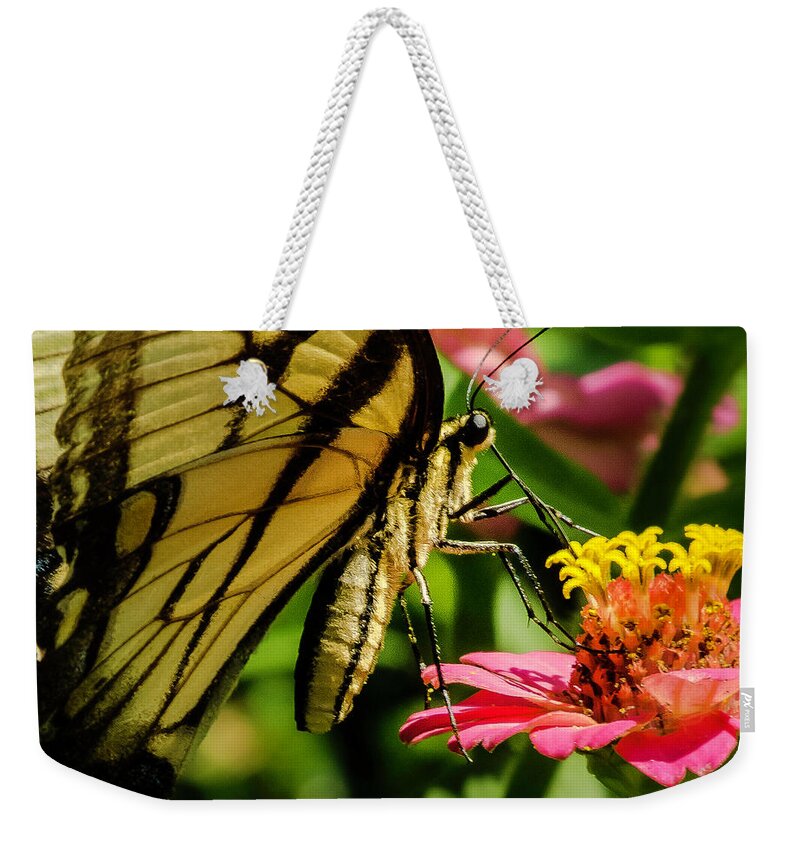 Butterfly Weekender Tote Bag featuring the photograph Butterfly and Zinnia by John Roach