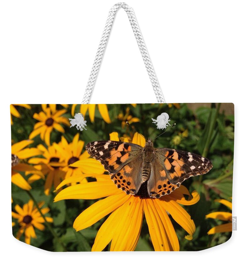 Butterfly Weekender Tote Bag featuring the photograph Butterfly by Annie Walczyk