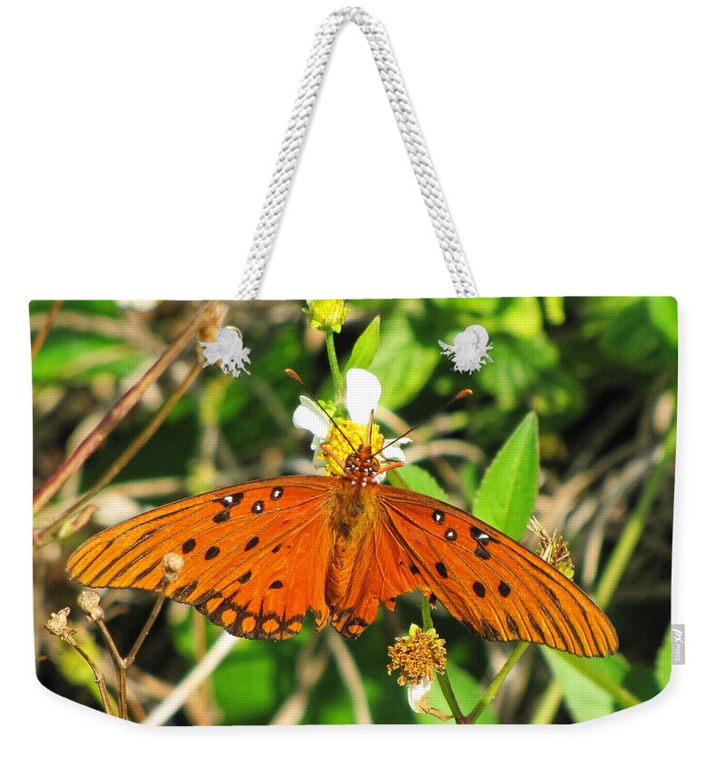 Butterfly Weekender Tote Bag featuring the photograph Butterfly at Canaveral National Seashore by Christopher Mercer