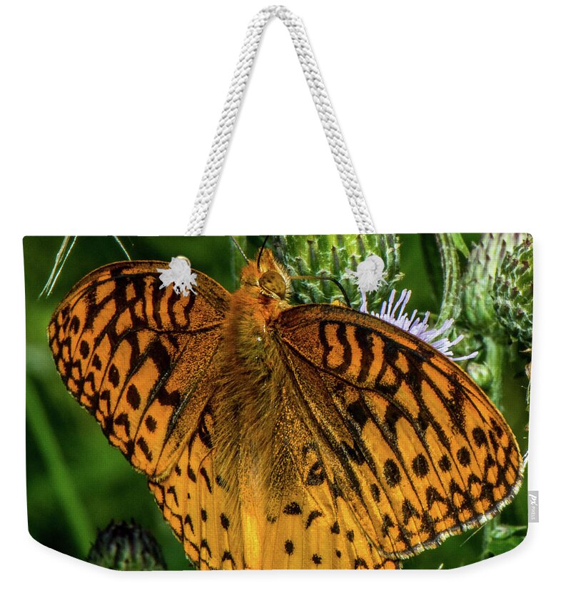 Butterfly Close Up Weekender Tote Bag featuring the photograph Butterfly Close up by Paul Freidlund