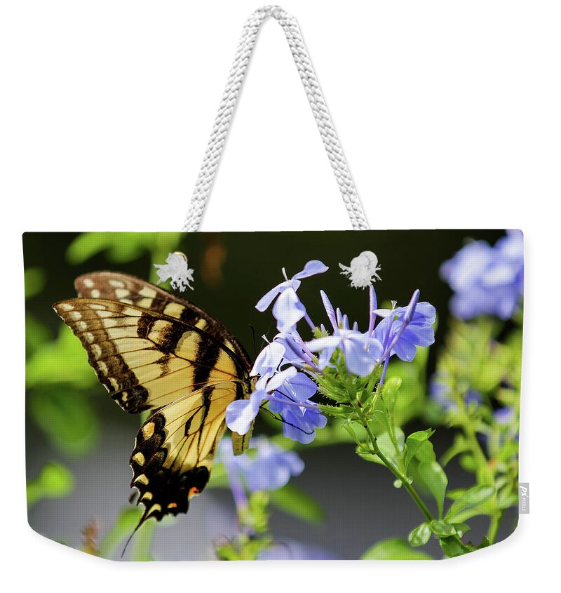 Wildlife Weekender Tote Bag featuring the photograph Butterfly by Dillon Kalkhurst
