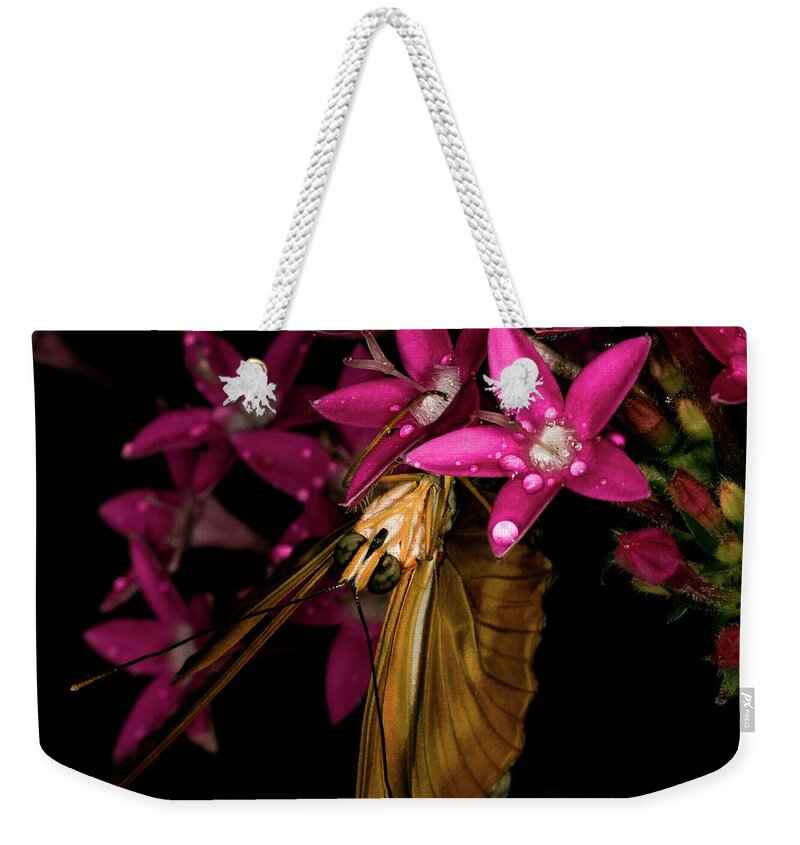 Jay Stockhaus Weekender Tote Bag featuring the photograph Butterfly Face by Jay Stockhaus