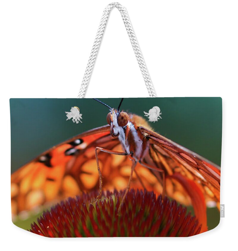  Weekender Tote Bag featuring the photograph Butterfly Face by Rebekah Zivicki