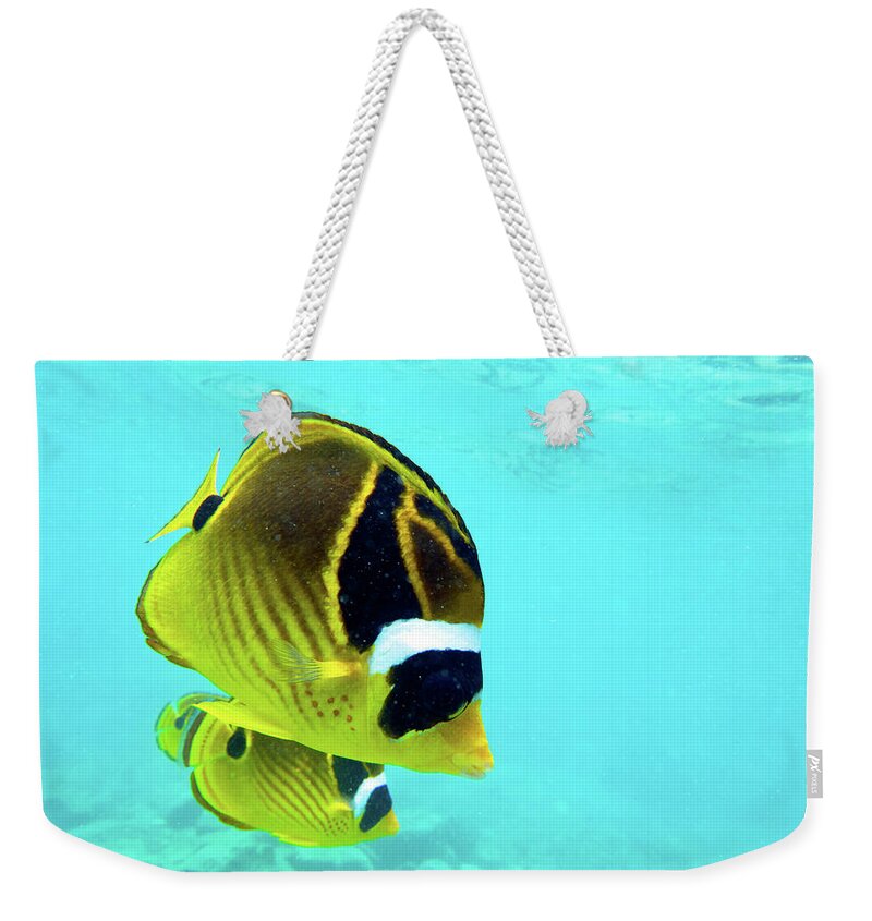 Butterfly Fish Weekender Tote Bag featuring the photograph Butterfly Fish by Christopher Johnson