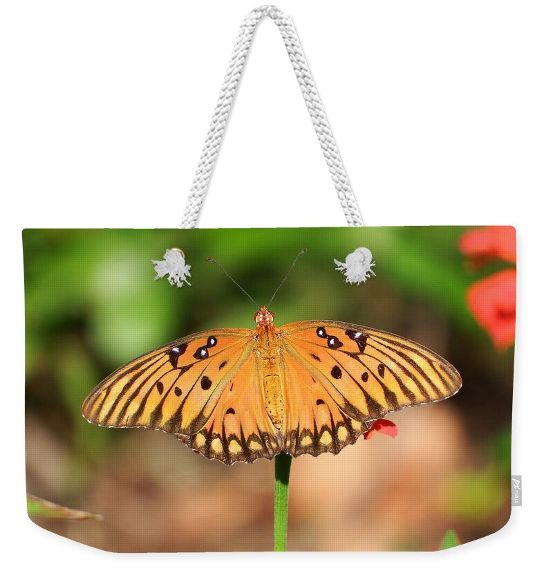 Butterfly Weekender Tote Bag featuring the photograph Butterfly Flower by Cathy Harper