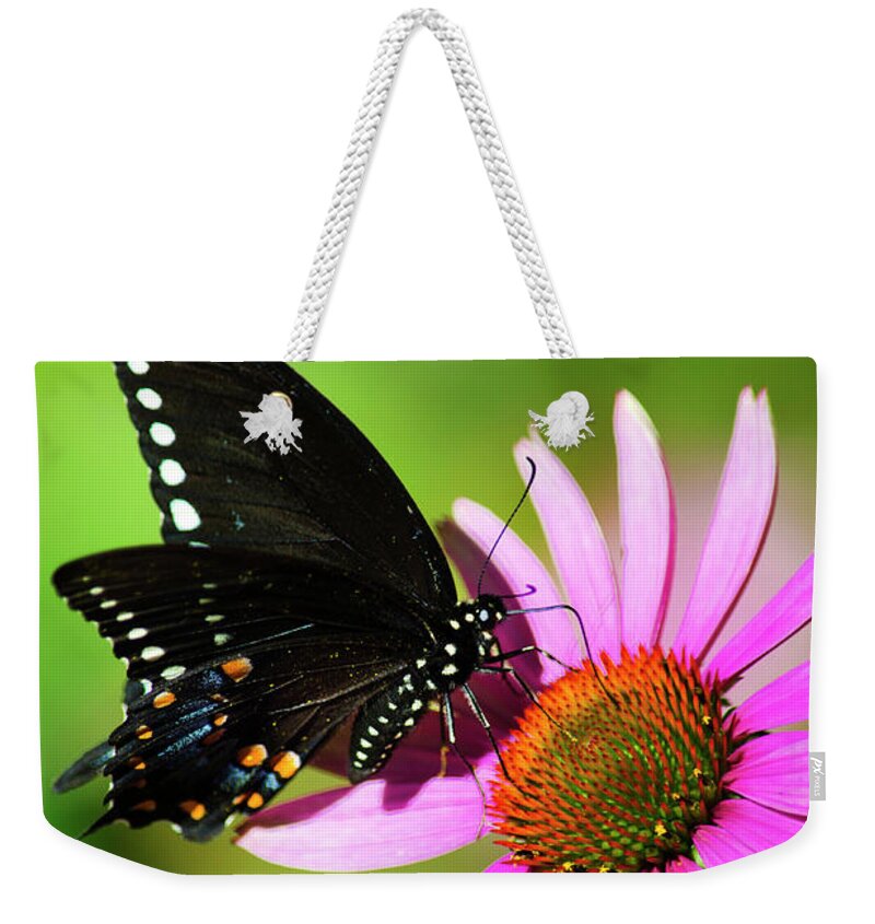 Butterfly Weekender Tote Bag featuring the photograph Spicebush Butterfly In The Sun by Christina Rollo