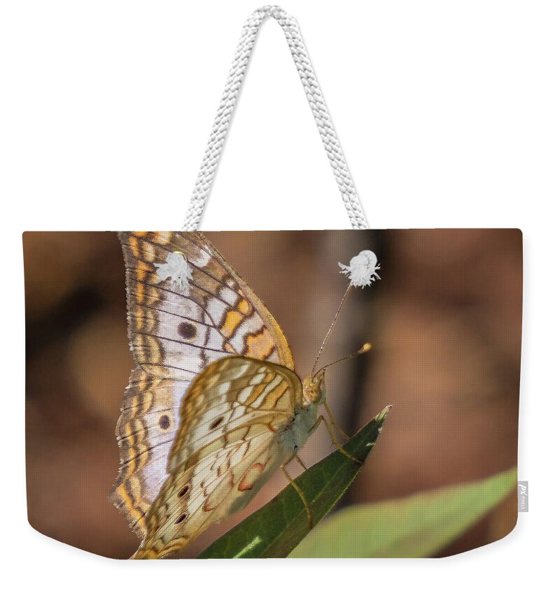 Florida Weekender Tote Bag featuring the photograph Butterfly by Jane Luxton
