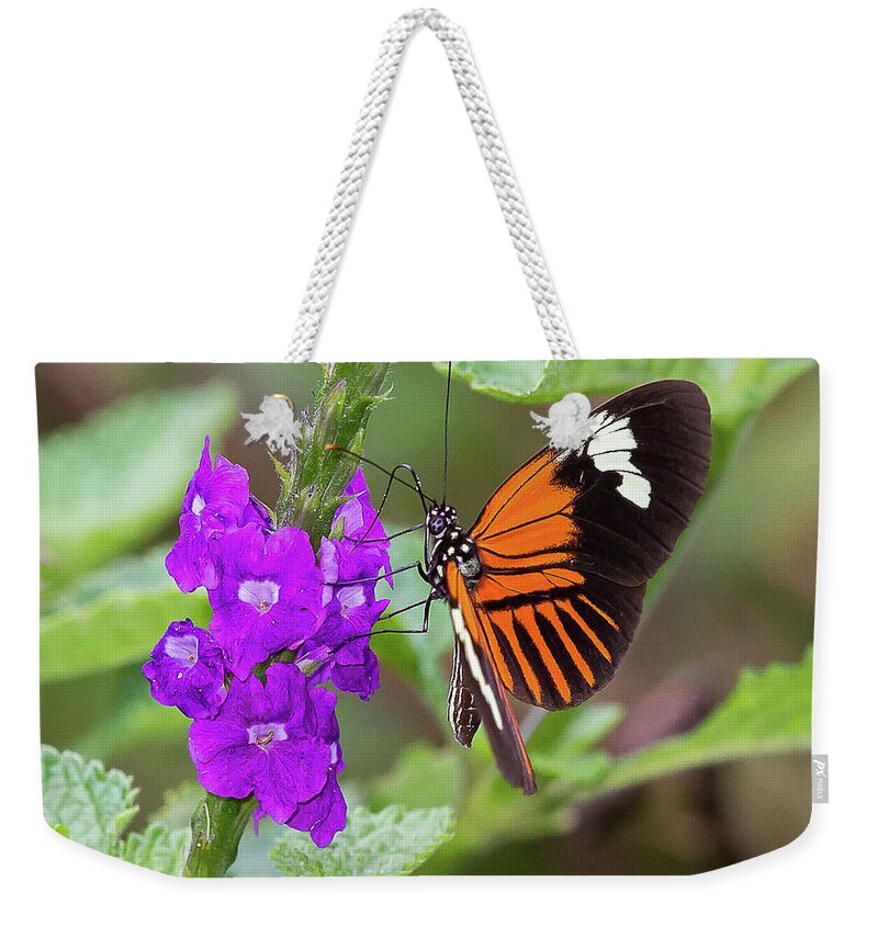 2015 Weekender Tote Bag featuring the photograph Butterfly by Jean-Luc Baron