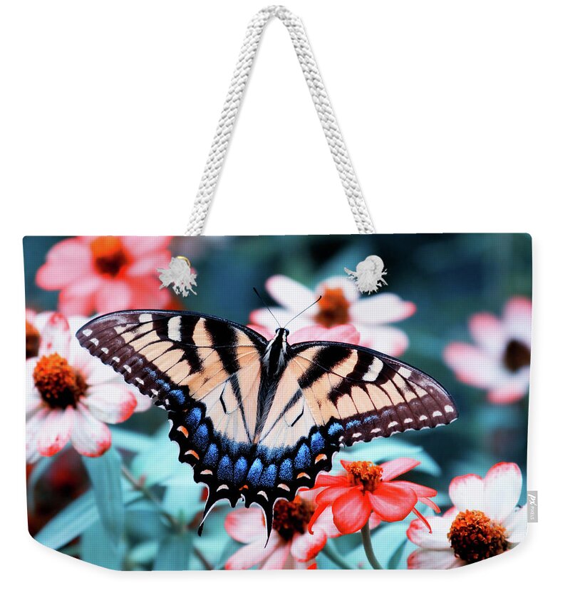 Swallowtail Weekender Tote Bag featuring the photograph Butterfly by Jill Lang