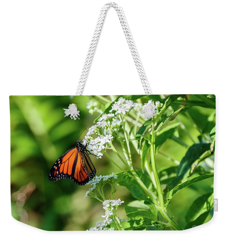 Butterfly Weekender Tote Bag featuring the photograph Butterfly by Les Greenwood