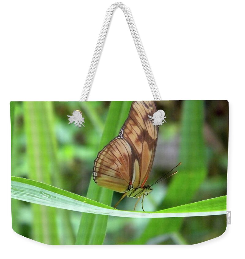 Butterfly Weekender Tote Bag featuring the photograph Butterfly by Manuela Constantin