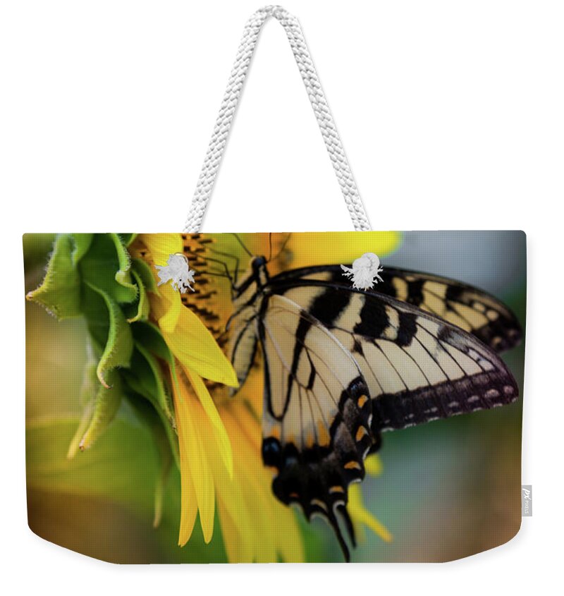 Swallowtail Butterflies Weekender Tote Bag featuring the photograph Butterfly Mornings by Karen Wiles