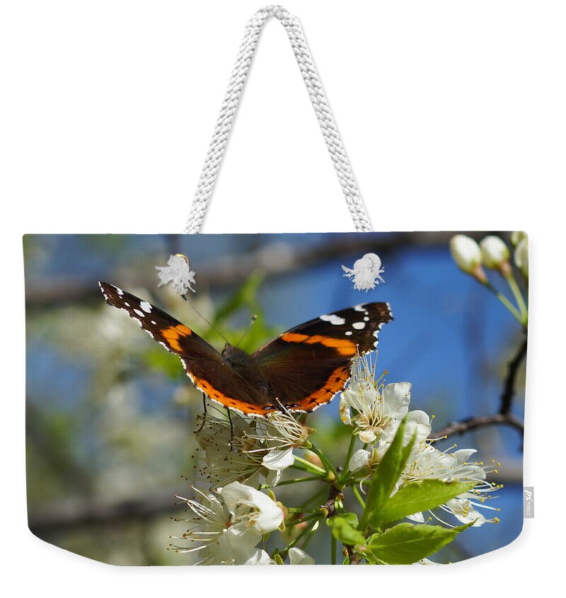 Butterfly Weekender Tote Bag featuring the photograph Butterfly on Blossoms by Steven Clipperton