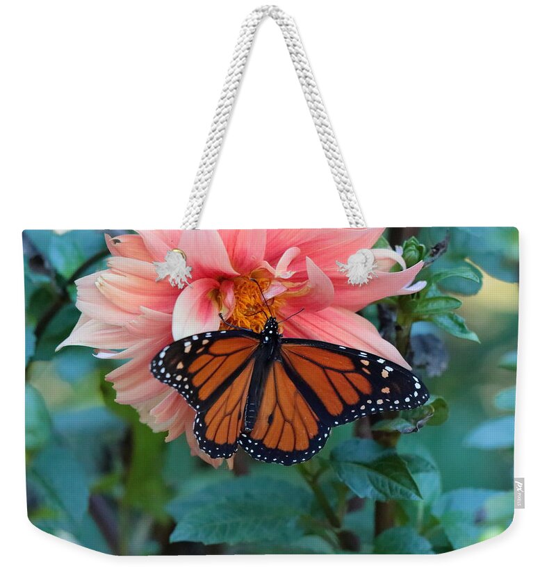 Butterfly Weekender Tote Bag featuring the photograph Butterfly on Dahlia by John Moyer